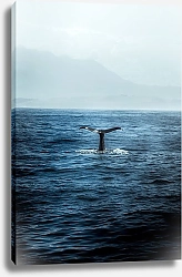 Постер Хвост кита в океане