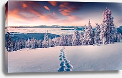 Постер Foggy winter sunrise in the snowy mountain