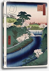 Постер Утагава Хирошиге (яп) Otonashi River Dam, Oji, popularly called Great Waterfall', from the Series 'One Hundred Views of Famous Places in Edo'