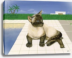 Постер Фристоун Джоан (совр) Siamese cat by a swimming pool