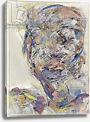 Постер Финер Стефан (совр) Head of a woman, 1999
