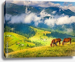Постер Удивительный горный пейзаж с туманом и лошадьми