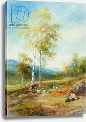 Постер МакВертер Джон Autumn, Strathglass, Inverness-shire