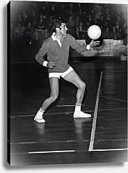Постер Bob Zaguri In The Artists Team At A Volley Ball Game At Coubertin Stadium Against A Team Of Journalists March 16, 1966