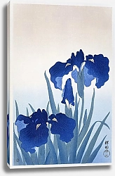 Постер Цветы ириса (1925 - 1936) Охары Косон