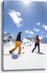 Постер Лыжная прогулка