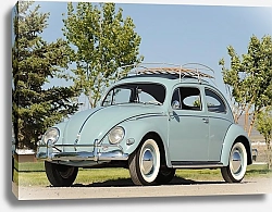 Постер Volkswagen Beetle '1955