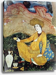 Постер Школа: Персидская Courtier from the Court of Shah Abbas I