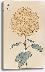 Постер Хасегава Кейка Keika hyakugiku, Pl.35