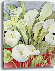 Постер Делеворис Лиллиан Arum Lillies, 1978