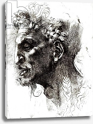 Постер Микеланджело (Michelangelo Buonarroti) Head of a Satyr