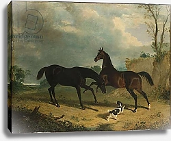 Постер Херринг Джон Hunters and a Spaniel in a Wooded Landscape, 1835