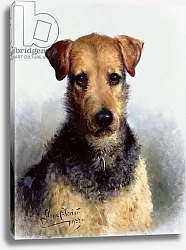 Постер Чевиот Лилиан Wire Fox Terrier, 1933