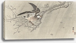 Постер Косон Охара Gray starling in storm