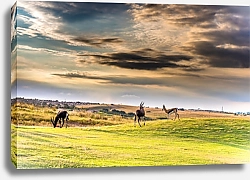 Постер Антилопы в поле на рассвете