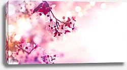 Постер Цветущая розовая ветка дерева