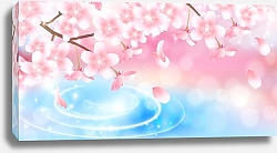 Постер Розовые весенние цветы вишни над водой