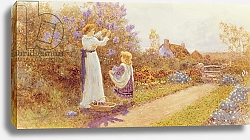 Постер Ллойд Томас Lilacs, 1899