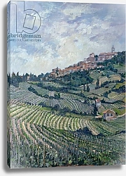 Постер Лоуренс Томас Vineyards, Tuscany