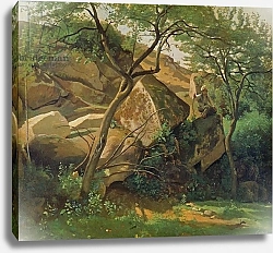 Постер Коро Жан (Jean-Baptiste Corot) Rocks at Fontainebleau, 1842