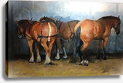 Постер Райт Дженнифер (совр) Horses - Heavy Horses - Chertsey Show, 2012