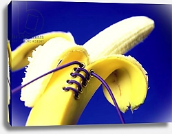 Постер Холландс Норман (совр) Banana in a basque, 2000