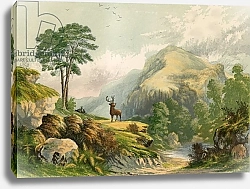 Постер Лидон Александр Illustration for Wilson's Address to a Wild Deer