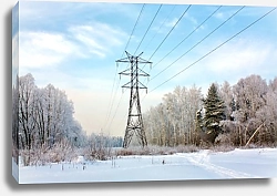 Постер Линия электропередачи проходящая сквозь зимний лес