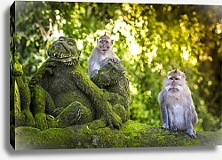 Постер Две обезьяны на позеленевшей статуе