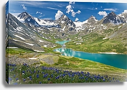 Постер Россия, Алтай. Пейзаж с горными цветами