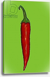 Постер Томпсон-Энгельс Сара (совр) Red hot chilli pepper