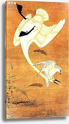 Постер Восточные птицы 35
