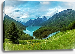 Постер Россия, Алтай. Кучерлинское озеро облачным утром