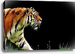 Постер Крадущийся тигр 1