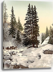 Постер Швейцария. Лес недалеко от города Давос