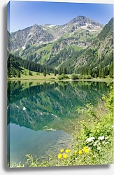 Постер Австрия. Тироль. Озеро Вильзальп
