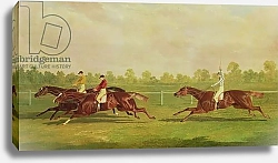 Постер Херринг Джон The Doncaster Gold Cup of 1835