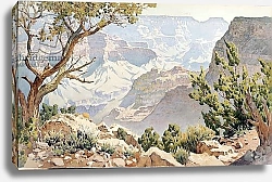 Постер Виндфорс Гуннар Grand Canyon 1