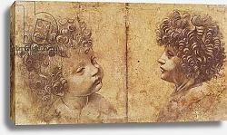 Постер Леонардо да Винчи (Leonardo da Vinci) Study of a child's head