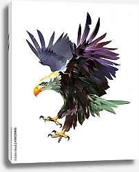 Постер Белоголовый орел с яркими перьями