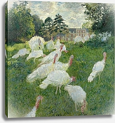 Постер Моне Клод (Claude Monet) Индюшки
