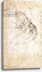 Постер Микеланджело (Michelangelo Buonarroti) Study for The Creation of Adam 1