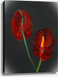 Постер Бартон Дебора (совр) Anthurium, Heart Flower, 2008
