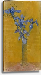 Постер Мондриан Пит Irises, c.1910