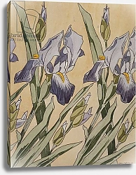 Постер Мозер Коло Iris, 1898