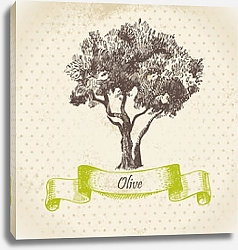 Постер Иллюстрация с оливковым деревом