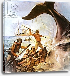 Постер МакКоннел Джеймс Peter the Whaler