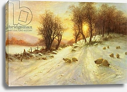 Постер Фаркарсон Джозеф Sheep in Winter Snow