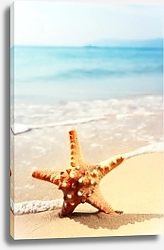 Постер Морская звезда на морском пляже