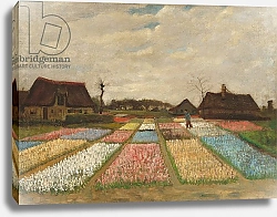 Постер Ван Гог Винсент (Vincent Van Gogh) Flower Beds in Holland, c.1883
